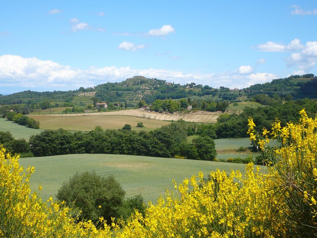 Podere Sionne Chiusi Room photo