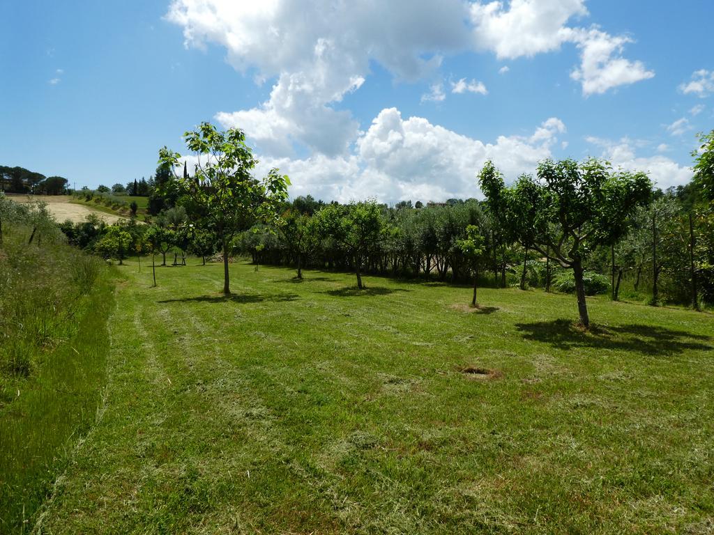 Podere Sionne Chiusi Exterior photo